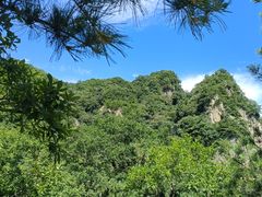 -王顺山国家森林公园