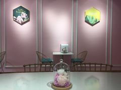 -金私燕鲜炖燕窝(万达店)