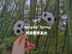 -成都大熊猫繁育研究基地