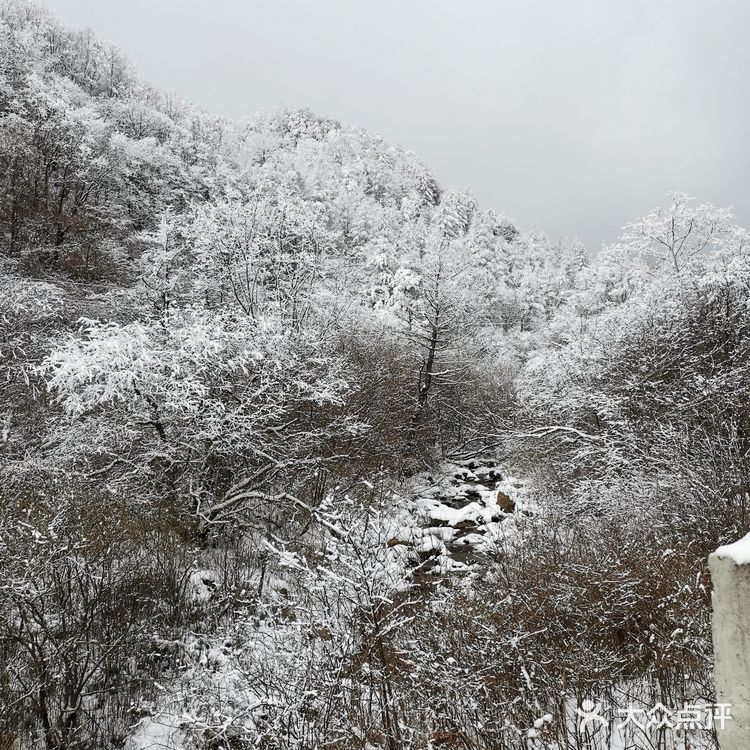 雾凇、白雪、冰挂这里都有