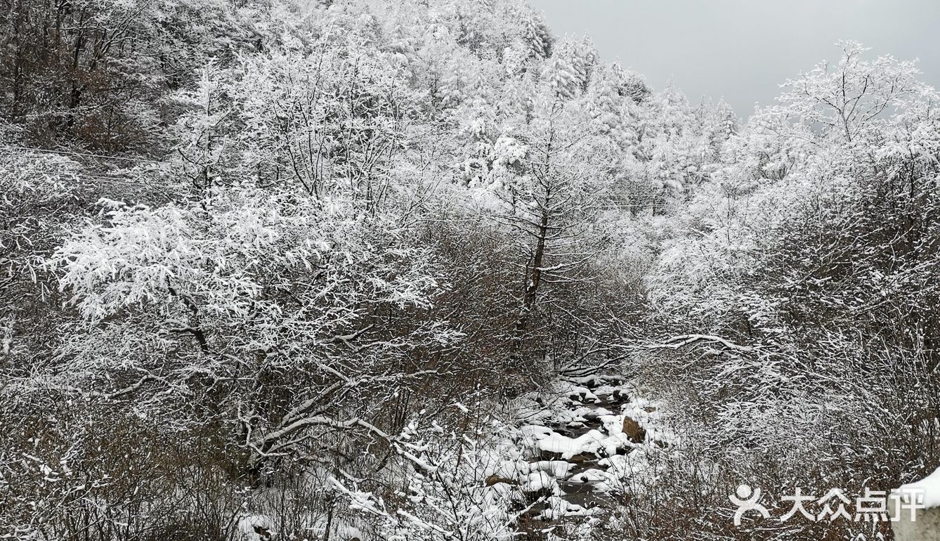 雾凇、白雪、冰挂这里都有