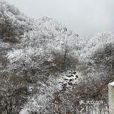 雾凇、白雪、冰挂这里都有