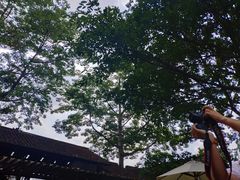 -喜洲吧·江畔老船厂·庭院餐厅(喜临院店)