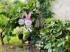 -田园东方蜜桃村的田野营地