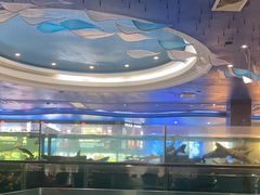 -都市阳光海鲜城(青山湖店)