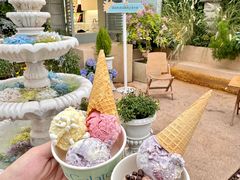 -苏小糖(鼓浪屿三丘田花园店)