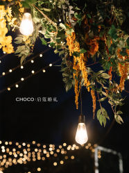 -CHOCO-启蔻婚礼(三亚公司)