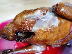 红烧乳鸽-光明刘冰乳鸽店(光明法政北路店)