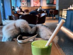 -Wagas沃歌斯(大学路店)