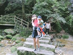 -牛背梁国家森林公园