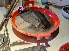 -二荆条·蜀鲜汇城市森林火锅