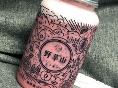 -野萃山·潮汕厚果汁(十亩地店)