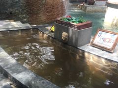 -嘉和K6温泉微度假