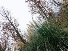 -贵阳市花溪国家城市湿地公园