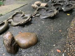 -成都市活水公园