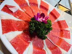 -枇杷园食为鲜火锅(南山店)