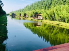 -黄海国家森林公园