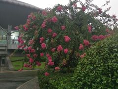 -杭州城北体育公园