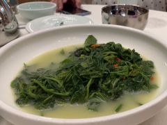 -五谷芳乳鸽王(海景店)