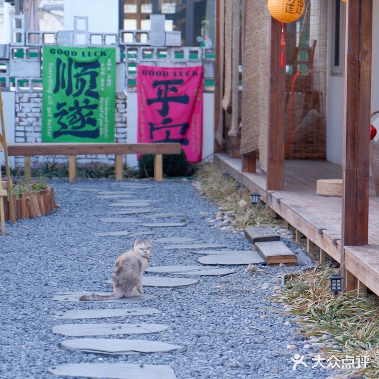 淄博甜品店🍰我遇到了理想中的小院🏮