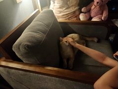 -咖法森林·咖啡  酒吧(天河店)