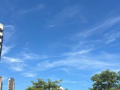 -中山大学附属第五医院