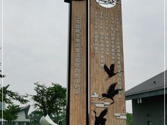 -盐城丹顶鹤湿地生态旅游区