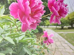 -尚湖风景区