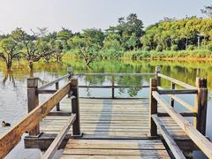 -鹤之洲湿地公园