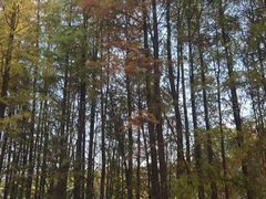 -嘉峪关城市博物馆