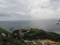 -枸杞岛