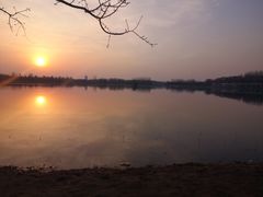 -大兴滨河森林公园