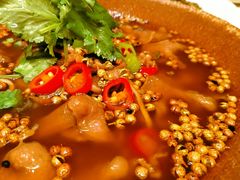 花椒牛舌-随食坊·私房菜
