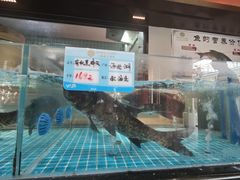 -上荔晶·土菜馆(古田店)