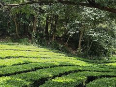 -敬亭山风景名胜区