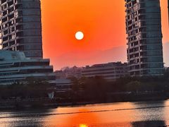 -厦门园林博览苑