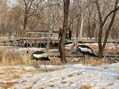 -北京野生动物园