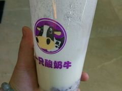 -一只酸奶牛(百联南岸上海城店)
