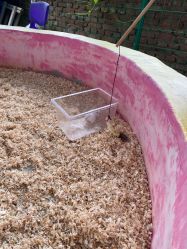 -萌宠亲子动物乐园(槐房万达店)