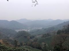 -龙井壹号·茶缘山景宴(龙井村店)