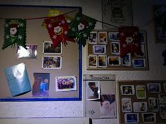 -Sirena海妖日咖夜酒