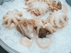 八爪鱼-王家渡火锅店(棕榈泉店)