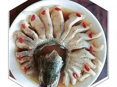 -大班家政月嫂育儿嫂(总部店)