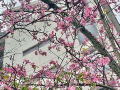 -福州大学(旗山校区)