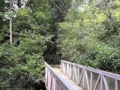 -武夷山风景名胜区-玉女峰