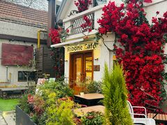 -弗兰克牛排西餐厅Ribone steak house(柠檬花园店)