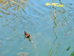 -西北湖绿化广场