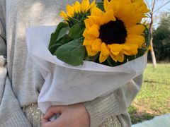 -秦美花卉(天朗·莱茵小城2期店)