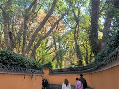 -普陀山慧济禅寺