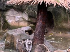 -杭州野生动物世界